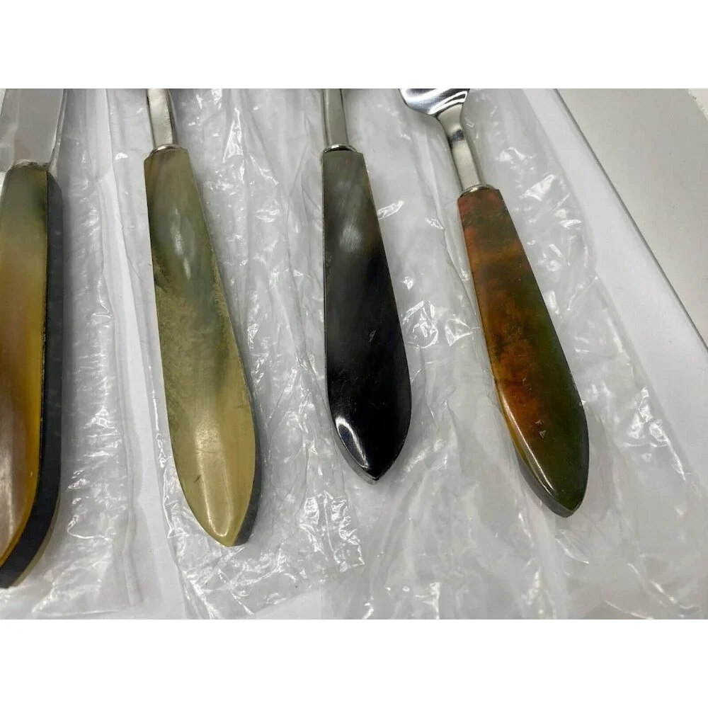 Pottery Barn Horn Flatware 2008-2009 Genuine Horn 5 Piece Place Setting‎ Read #6